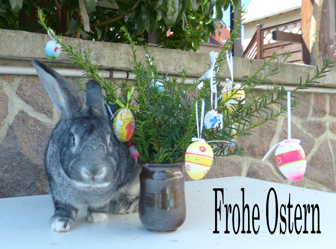 You are currently viewing Frohe Ostern