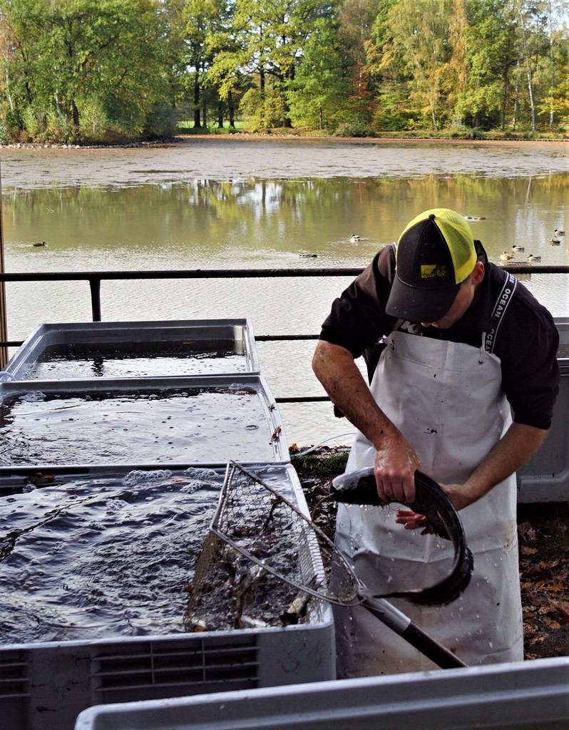 Du betrachtest gerade Beim Abfischen …