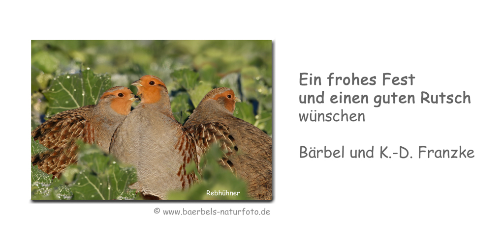 Du betrachtest gerade Happy Christmas!