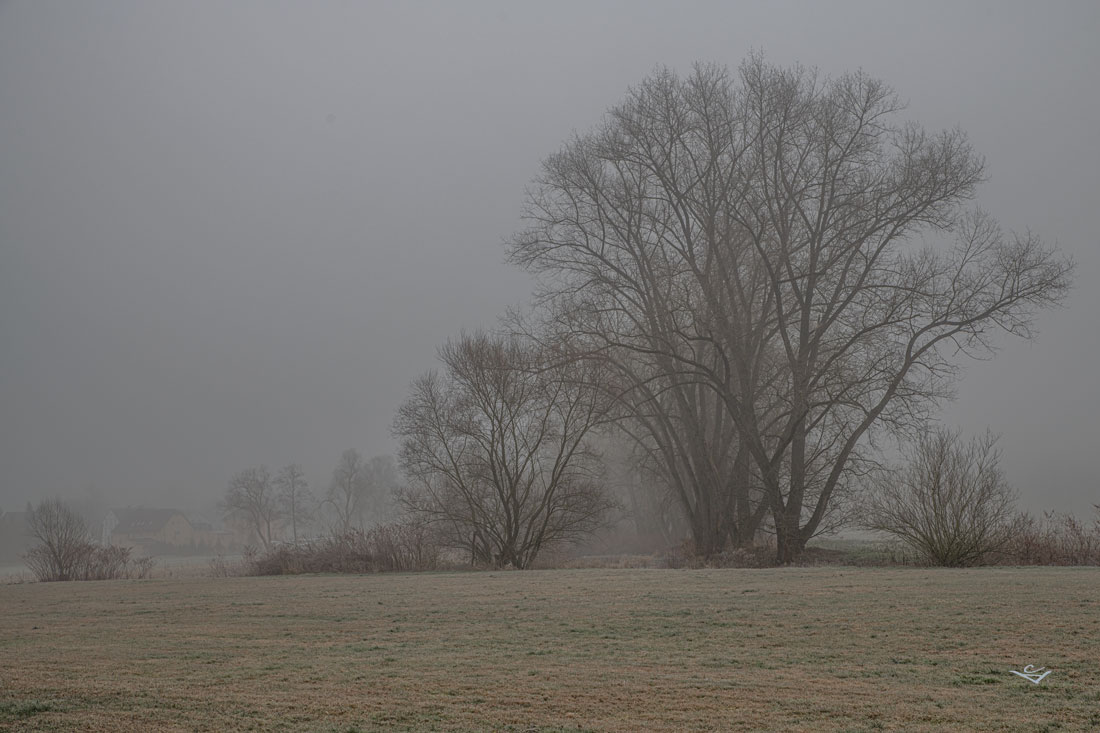 Du betrachtest gerade Nebel