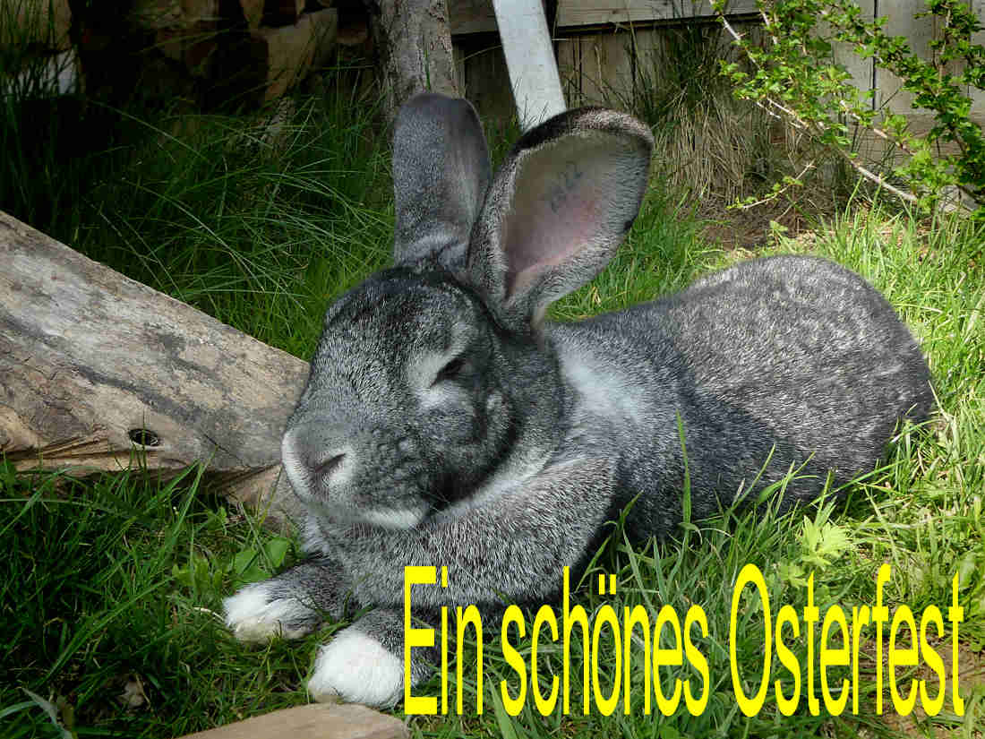 Du betrachtest gerade Ostern