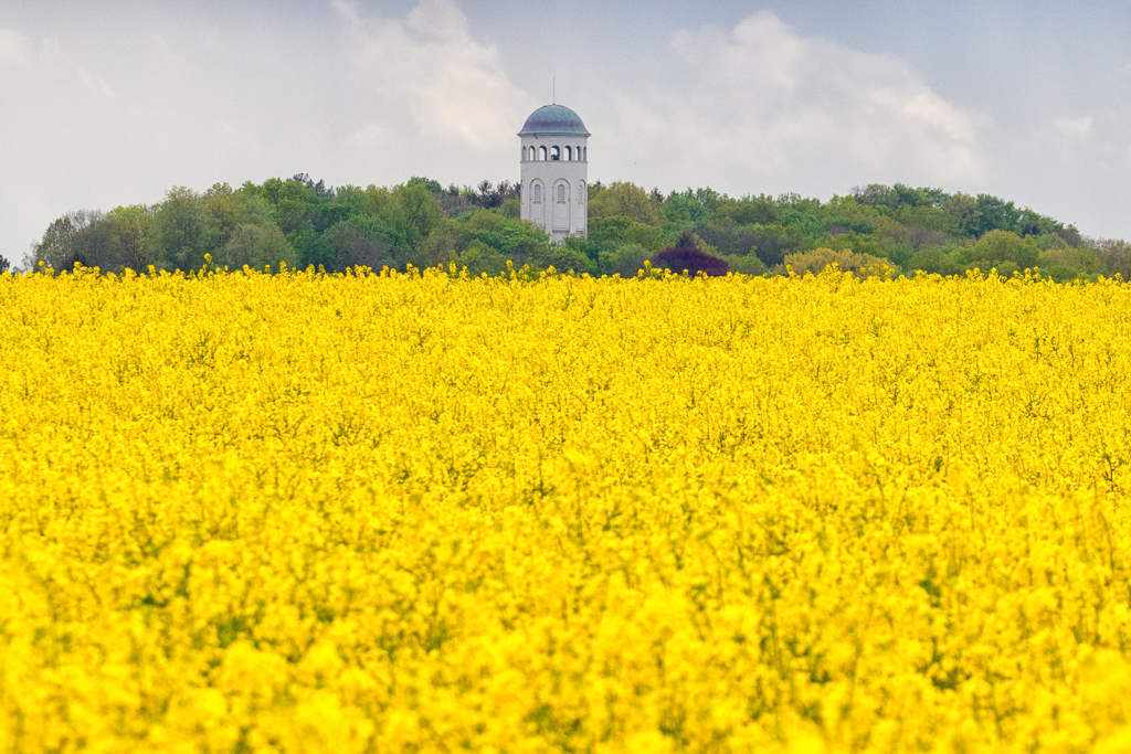 Taurastein mit Raps