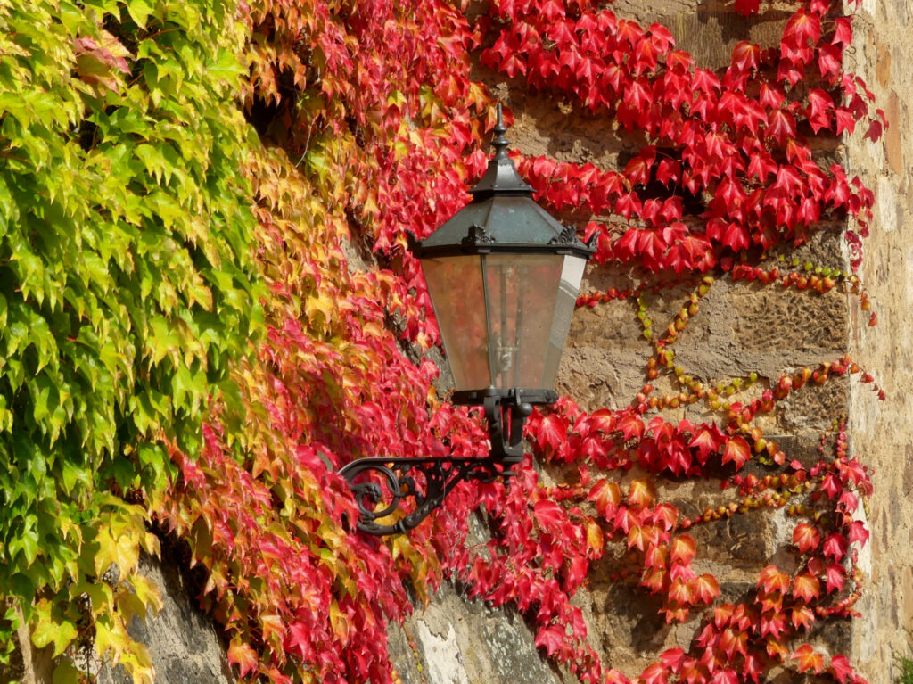 Du betrachtest gerade Herbst