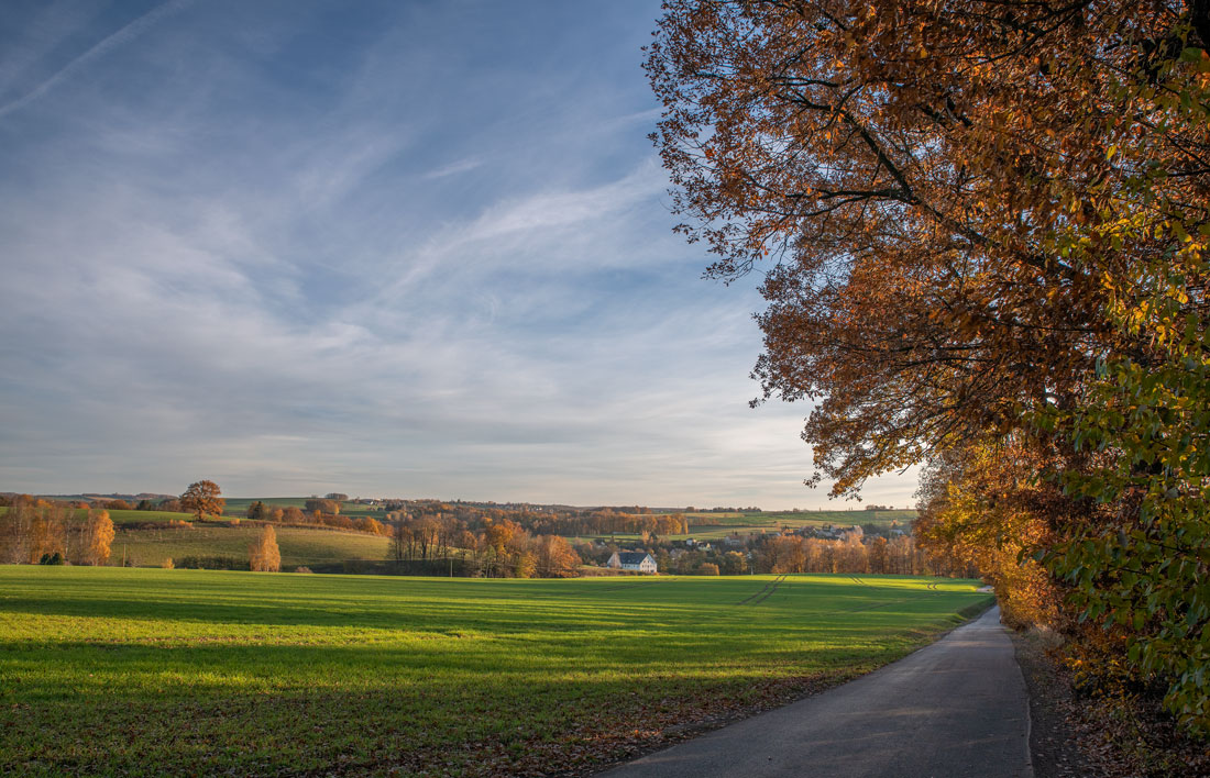 Du betrachtest gerade Ist das der goldene Herbst?