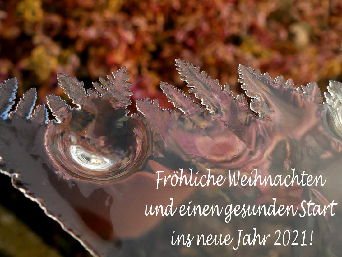 Du betrachtest gerade Frohes Fest