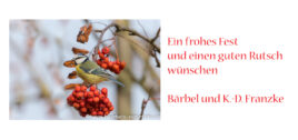 Read more about the article Frohe Weihnachten