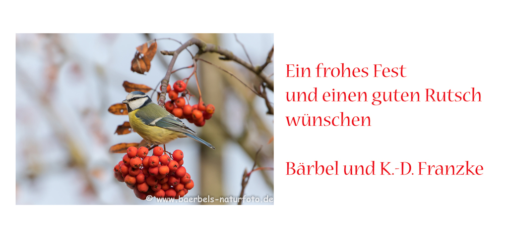 Du betrachtest gerade Frohe Weihnachten