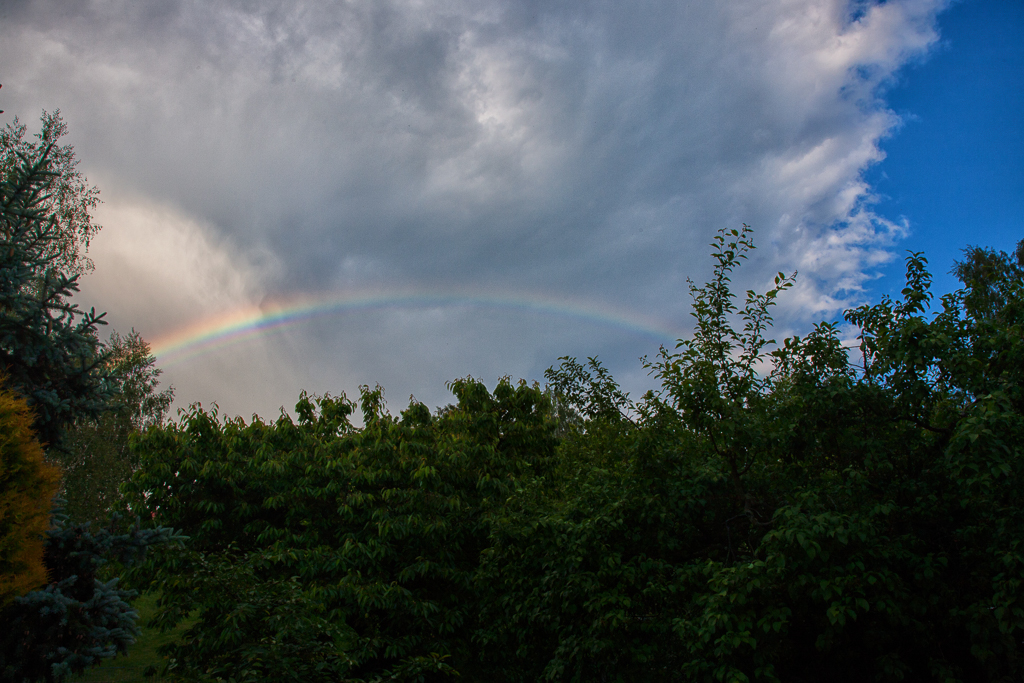 Regenbogen