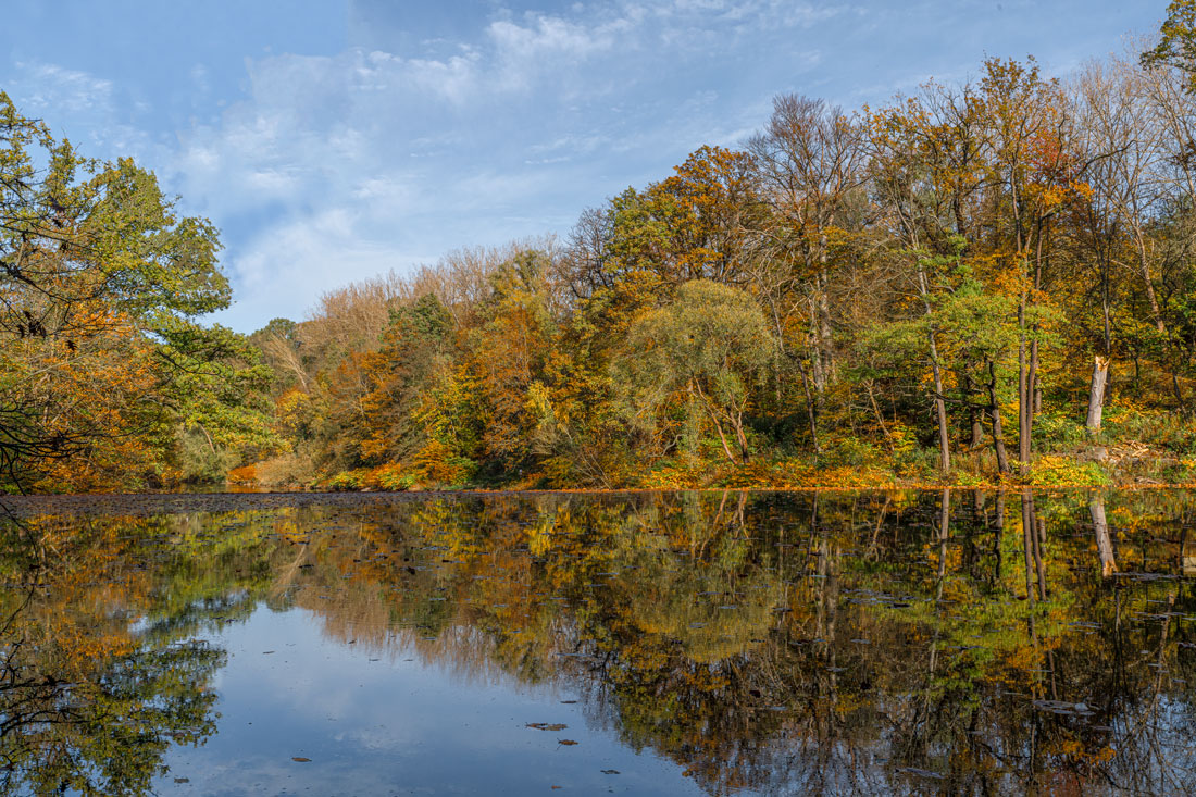 You are currently viewing Spiegelungen