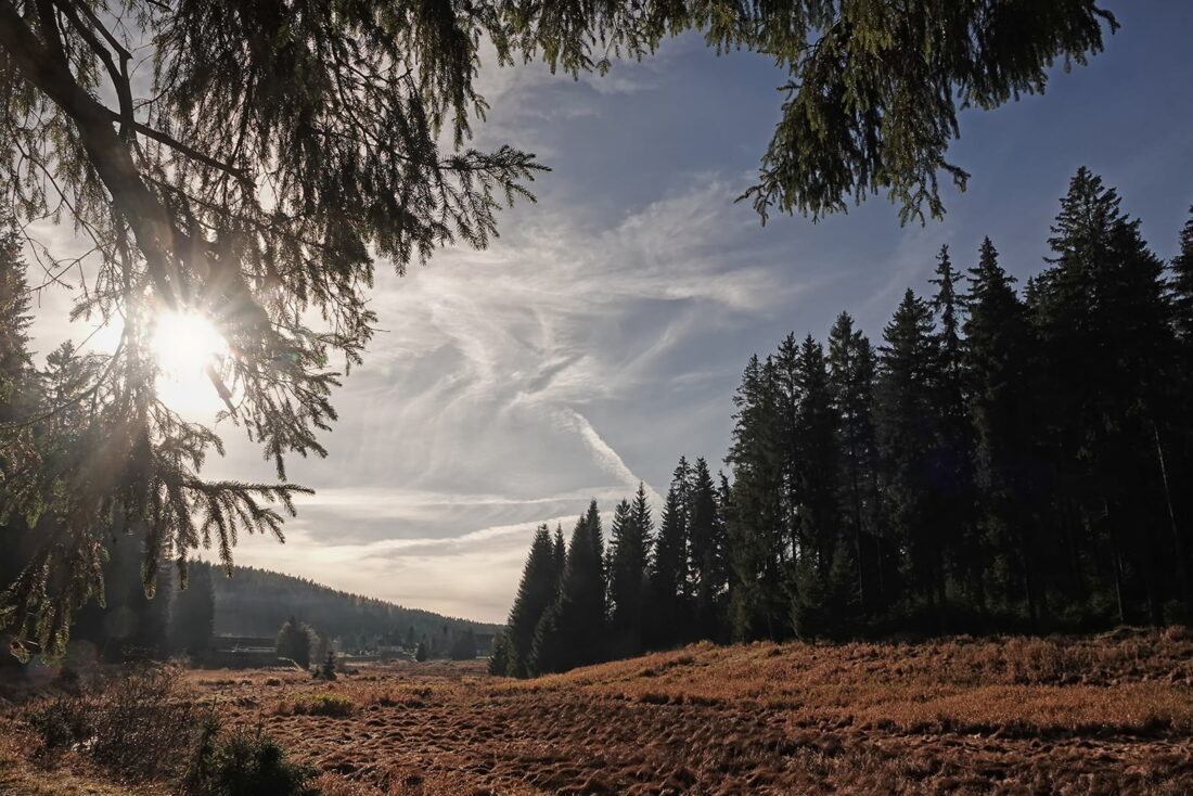 Du betrachtest gerade November im Erzgebirge