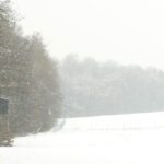 Wintereinbruch