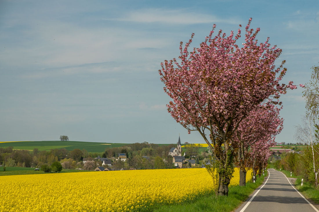 Read more about the article Alle Jahre wieder schön.