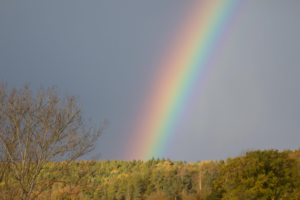 You are currently viewing Bevor der Regen kommt