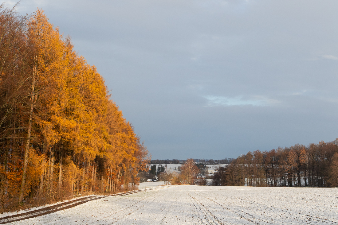 Herbst oder Winter?